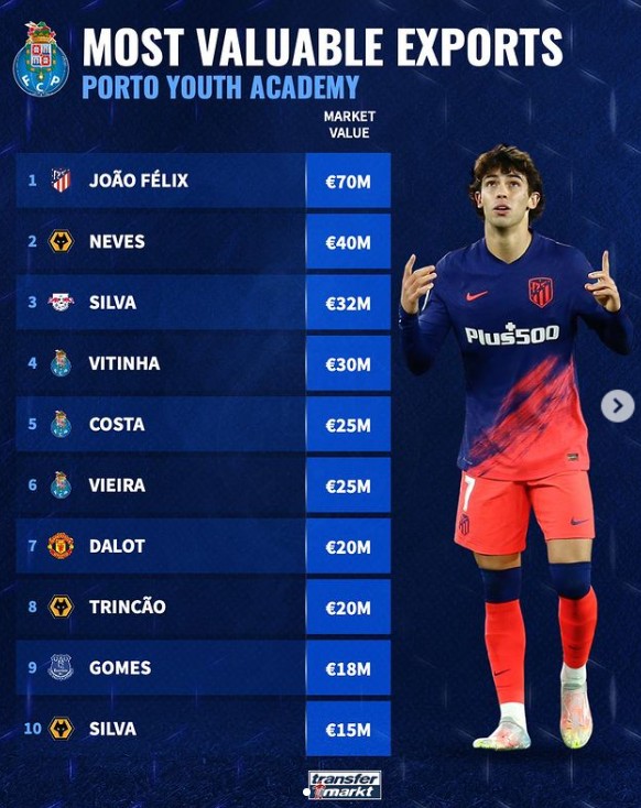 自我保护的 自我保护的