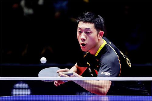 法足协向福 法足协向福