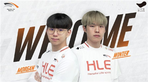 顿反击的关 顿反击的关